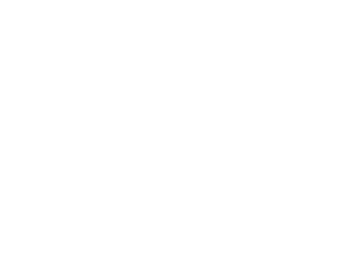 The Motion Story